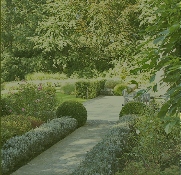None Un petit chemin entouré de petites haies et d